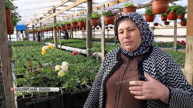 Цветник в селе Цветковка смотреть онлайн