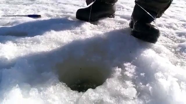 Светлые Горы Форель 3. 18.03.2023 смотреть онлайн