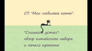СП "Мои любимые коты". "Слишком устал": обзор китайского набора и начало проекта