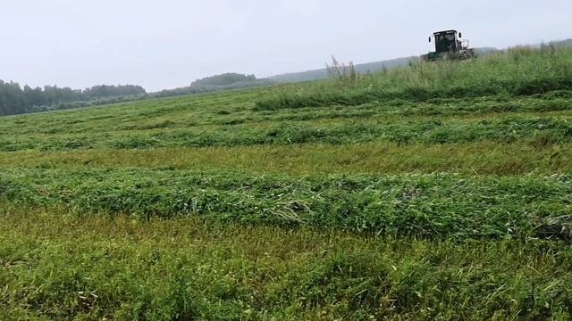 Три самоходки в деле | продолжаем косить люцерну смотреть онлайн