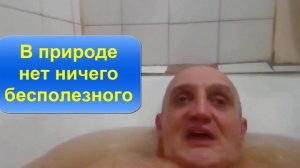 ХВОЙНЫЕ ВАННЫ. Видео №44