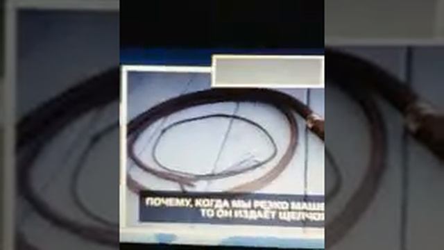 МОГУТ ЛИ ГРИБЫ ПРОИЗВОДИТЬ ЗОМБИ смотреть онлайн