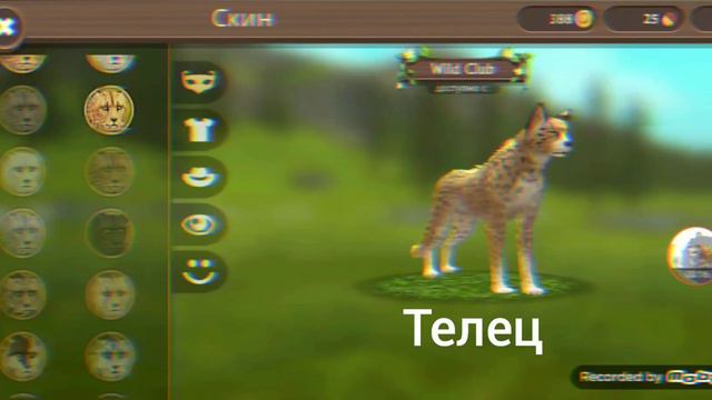 какой ты гепард по знаку зодиака смотреть онлайн