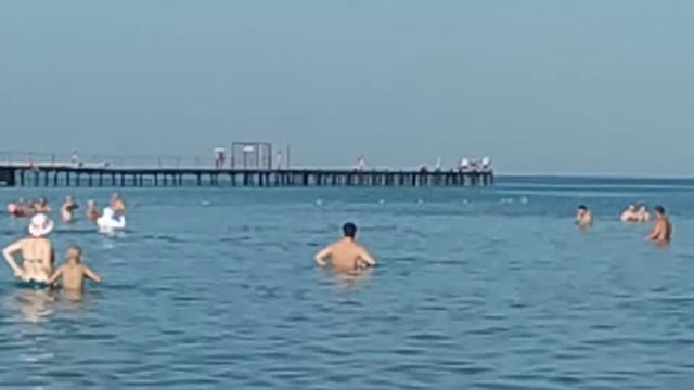 АНАПА. Дельфины. 17 июля 2021, 7:50 утра смотреть онлайн