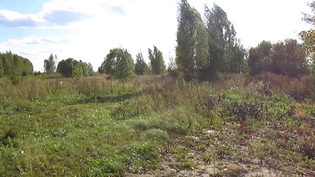 Где рыба, брат? Укороченная версия. Рыбалка. Цна. смотреть онлайн