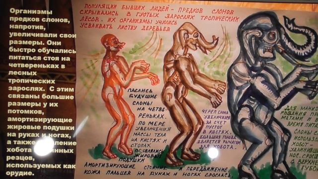 Инволюция без Дарвина, или эволюция бездарная. Александр Белов 13 02 2022 г. смотреть онлайн