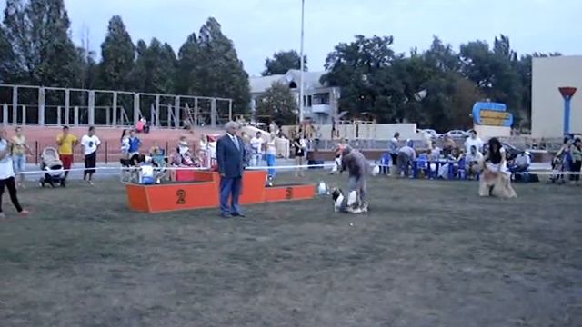 Best Bebby международная выставка Донецк Украина 11.08.2012 смотреть онлайн