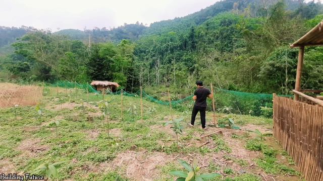 Building Life, Growing Sugarcane And Ginger | Building Future Episode 35