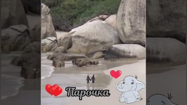 Чудеса от Творца. Красота Природы. Насекомые. Животные. The Beauty of Nature. Insects. Butterflies смотреть онлайн