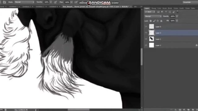 SSO-Speedpaint Black Shire-Star Stable Online смотреть онлайн