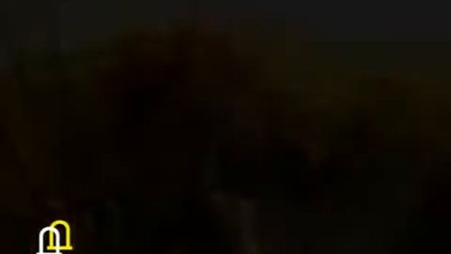 дела домашние 30 07 2016 смотреть онлайн