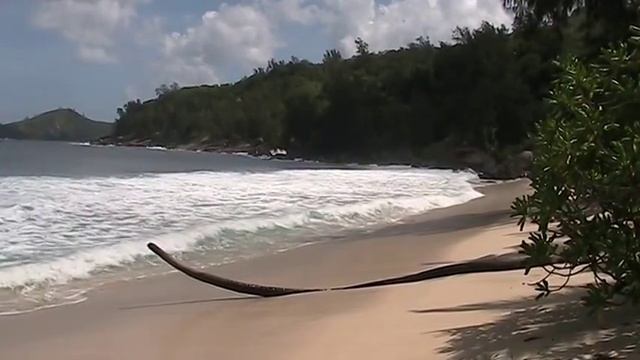 Takamaka Beach, Seychelles смотреть онлайн