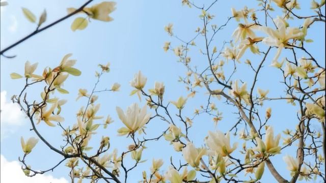 ? ВПЕРВЫЕ на YouTube ?ТАЙНА СУДЬБЫ?Л.ШТОРК. Христианские рассказы. Истории из жизни.