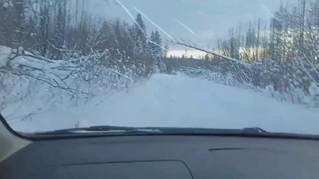 Преодолеть непреодолимое Низкая посадка Бездорожье #car #offroad #respect #toyota