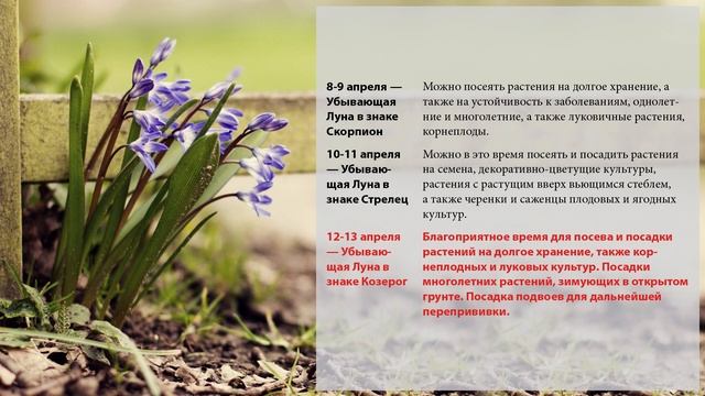 Лунный календарь садовода-огородника на апрель 2023 и планы посева на апрель смотреть онлайн