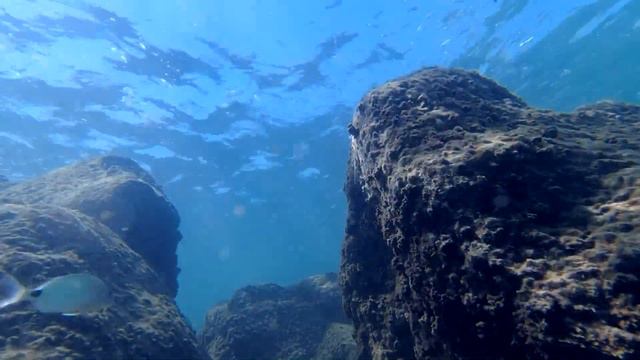 Снорклинг на Средиземном море; Сентябрь 2021 смотреть онлайн