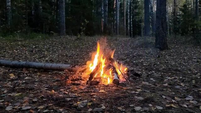 Озеро Тот-ер в Марий Эл. Заповедная зона - ВХОД ЗАПРЕЩЁН! смотреть онлайн