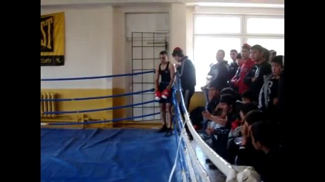 Армянский боксер в Ташкенте смотреть онлайн