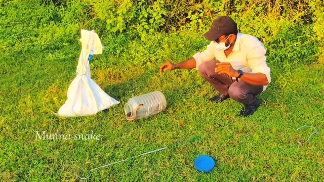 #Indian #rock python release &.3 other snake(7396969617) смотреть онлайн