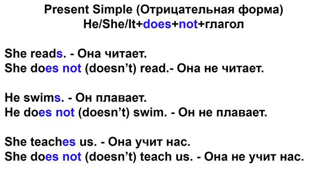 Present Simple Отрицательная форма смотреть онлайн