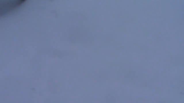 ИСКУССТВЕННАЯ МОЧЕВАЯ ТОЧКА НА ВОЛКА_устройство и принцип. ARTIFICIAL URINARY POINT_ Device..mp4