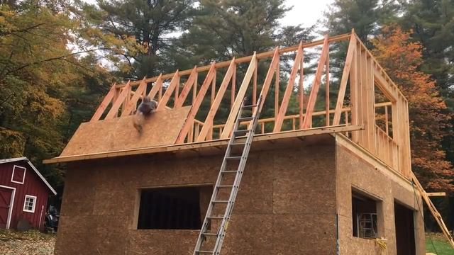 How Much for a Gambrel Garage in 2021 ? смотреть онлайн