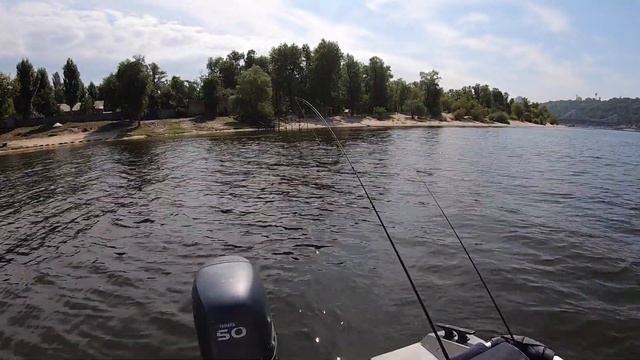 Хищник не клюет в августе? Особенности рыбалки летом. Приманки на окуня и слаги на судака. смотреть онлайн