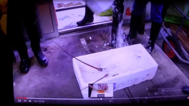 бизнес идея лобстеров разводить смотреть онлайн