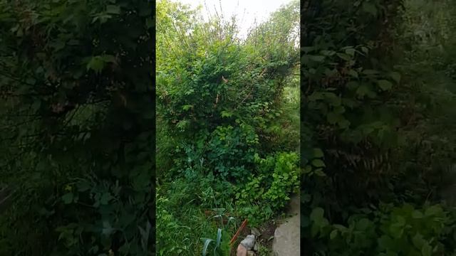 Весна в Пятигорске смотреть онлайн