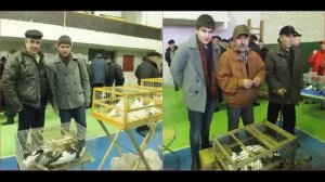 выставка голубей В Рязани 29 сентябряи и  24ноября.