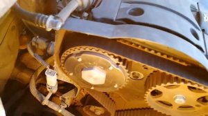 Замена Грм ситроен с4 на 114 т. км