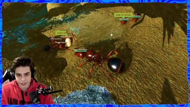 I made an Red Ant Colony in Ant Life V2 [beta testing] смотреть онлайн