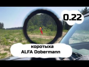 Легкими пульками в ветер. AlfaDobermann 260мм 5.5