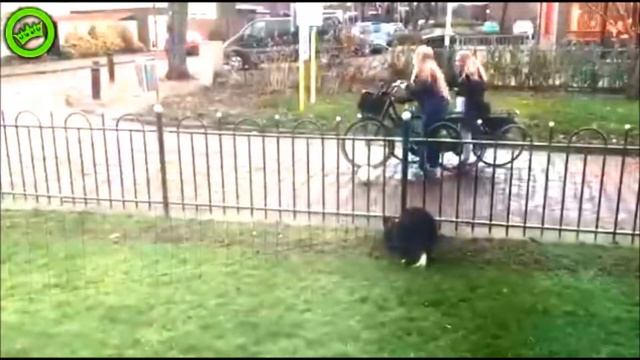 Если друг не смеется... смотреть онлайн