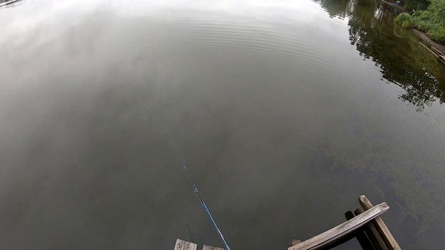 за 5 минут 3 камбалы и 3 краснопёрки на БЛЕСНУ из реки. НЕ ДУМАЛ ЧТО ОНИ ЗАХОДЯТ В РЕКИ!