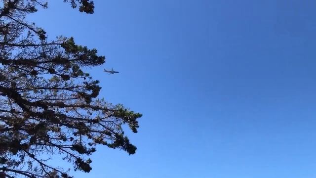 У Тихого океана Ручные белки / Сан-Франциско 2021 смотреть онлайн