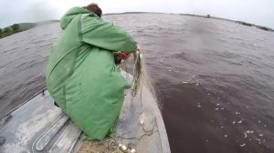 РЫБАЛКА НА СЕТИ. ДИКИЙ САЗАН И ТОЛСТОЛОБИК РВУТ СЕТИ!