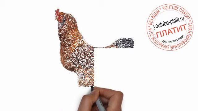 Птицы нарисованные карандашом Как поэтапно карандашом нарисовать петуха смотреть онлайн