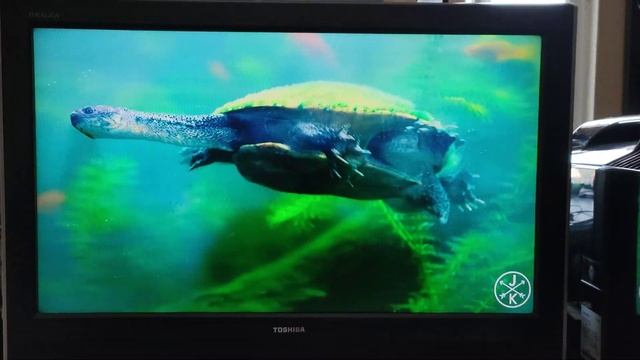 Телевизор Toshiba 32WL66R для авито смотреть онлайн