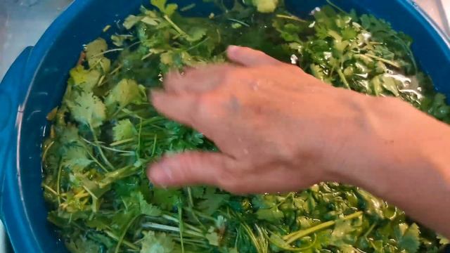 Психологические Лекции