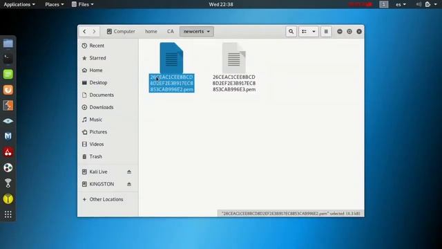 Certificados SSL https Kali смотреть онлайн