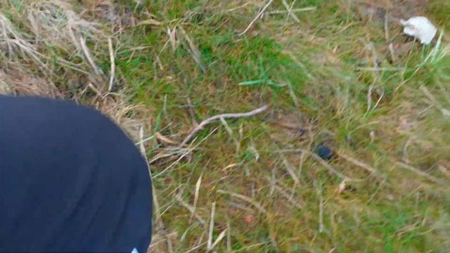 Pajūrio Oras Kažkuo Įpatingas. @Adle Channel смотреть онлайн