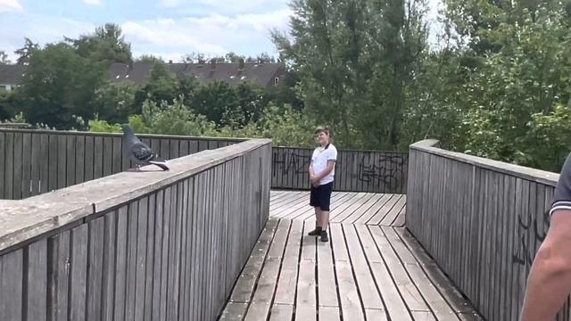 Знакомство с подписчиками/ Немного о себе/Прогулка по городскому Каналу/Германия смотреть онлайн