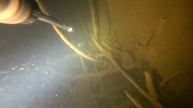 Трудовой голавль, на лютом течение; смотреть онлайн