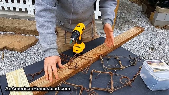 How To Kill A Bazillion Squirrels (Probably Illegal) смотреть онлайн
