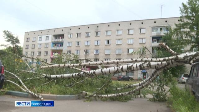 В Ярославской области исправляли последствия непогоды смотреть онлайн