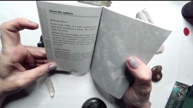 Earth Wisdom Video (Take Two) | August 15, 2023 смотреть онлайн