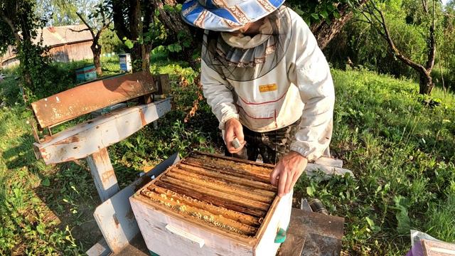 17.07 Улетел рой смотреть онлайн