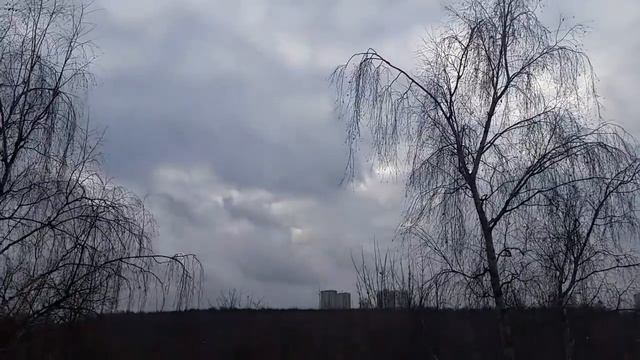 Сенсация дня осадков не будет 18 11 17 с 1