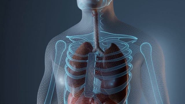 Air Pollution for Kids | Learn about the Causes and Effects of Air Pollution смотреть онлайн